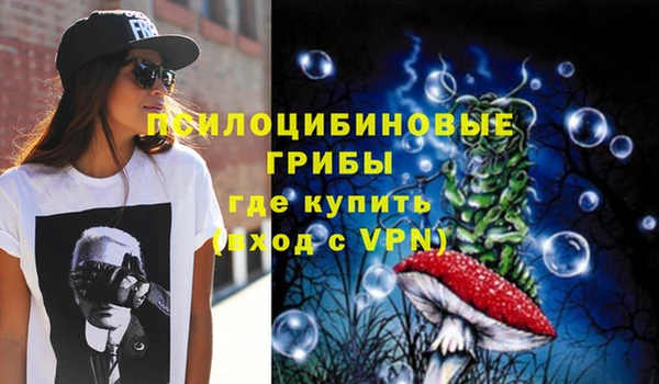 молекула духа Аркадак