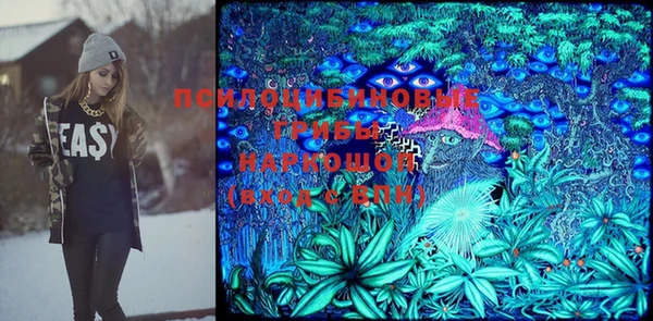 кокс Арсеньев