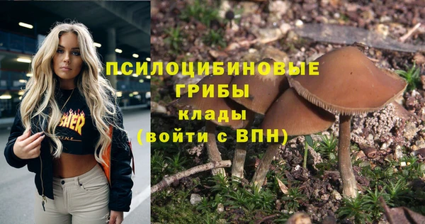 героин Алексин