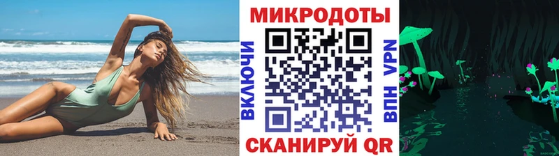мега tor  Сортавала  Галлюциногенные грибы мицелий 